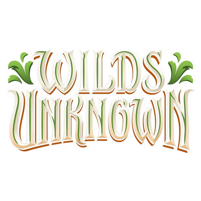 Disney Lorcana: Wilds Unknown