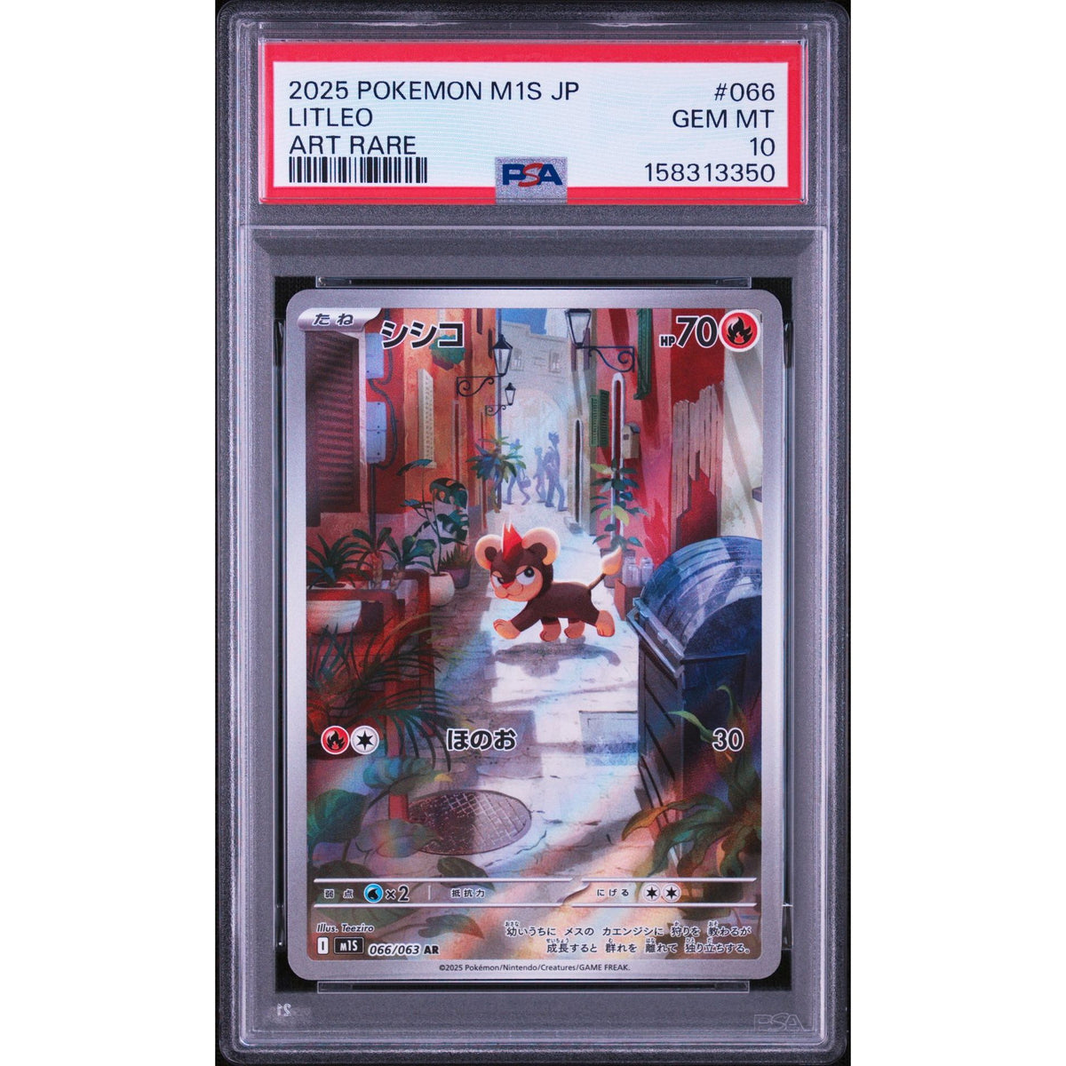 Pokémon TCG: Litleo #066 PSA 10-158313350