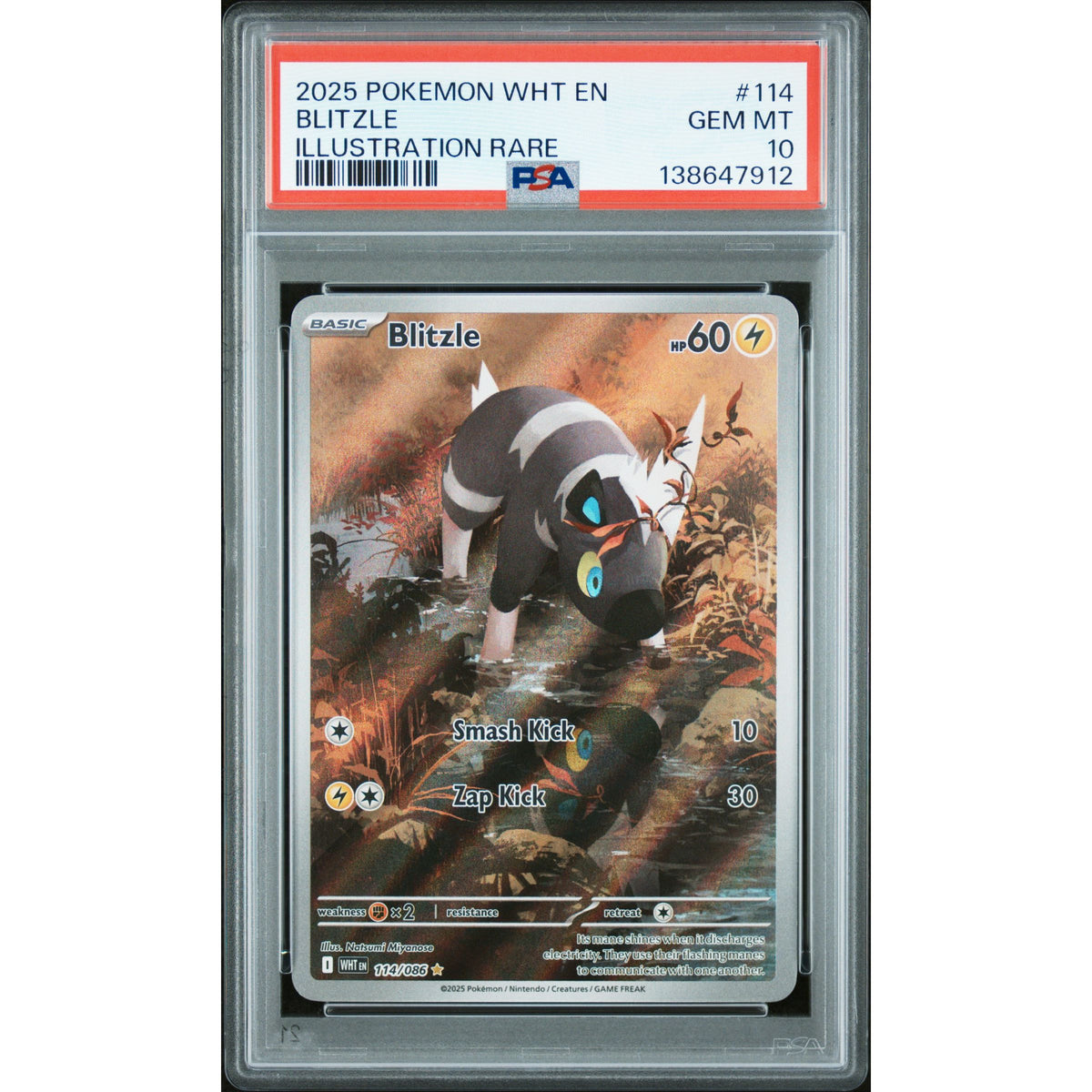 Pokémon TCG: Blitzle #114 PSA 10-138647912