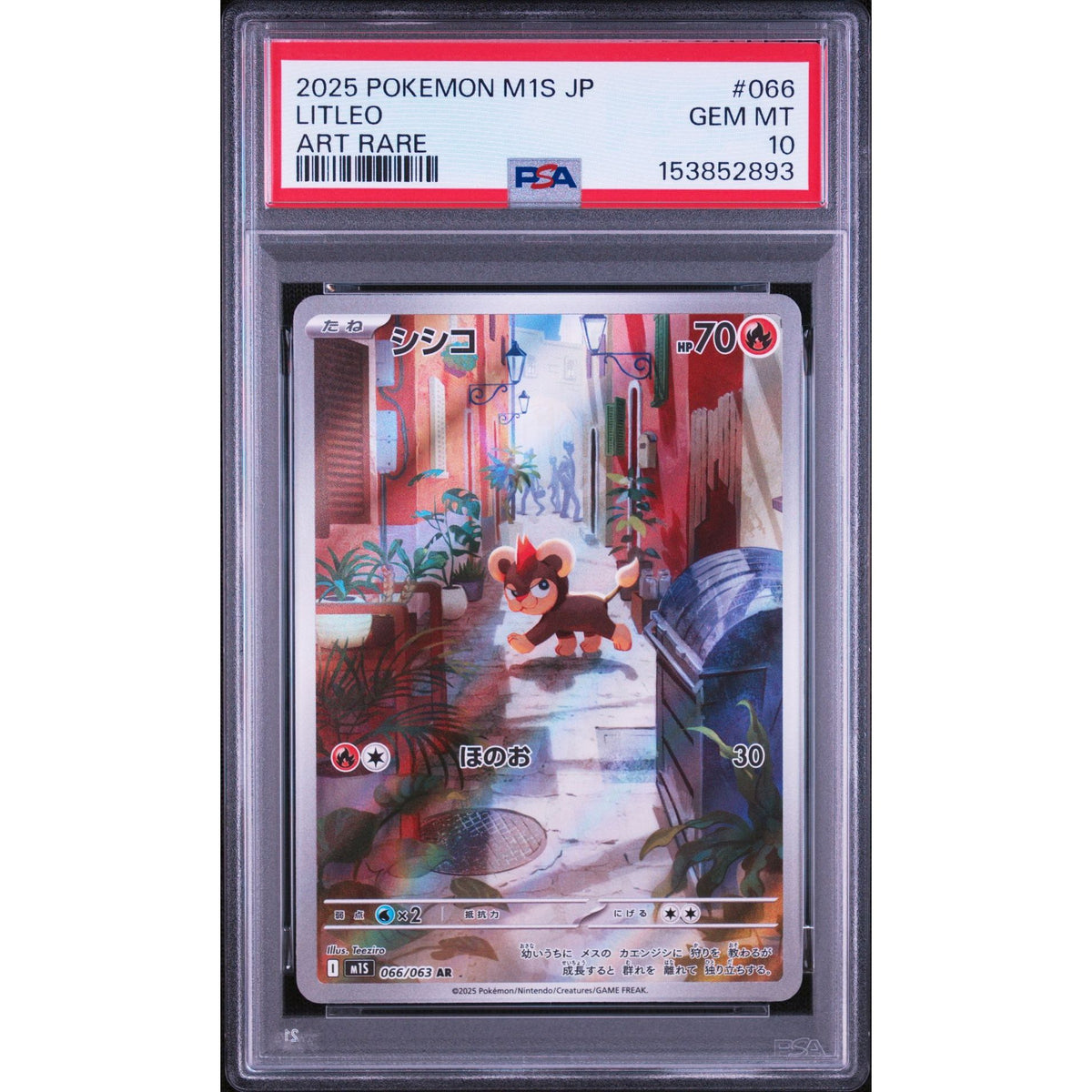 Pokémon TCG: Litleo #066 PSA 10-153852893