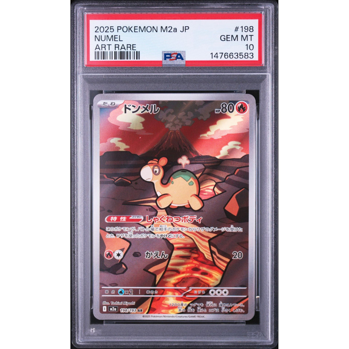 Pokémon TCG: Numel #198 PSA 10-147663583