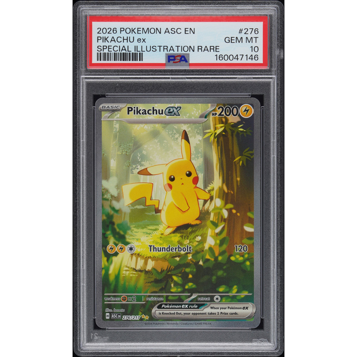 A Pokémon TCG: Pikachu Ex #276 PSA 10 - Ascended Heroes trading card featuring the character standing in a forest, encapsulated in a protective plastic slab.