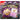 Paldean Fates Tech Sticker Collection Fidough