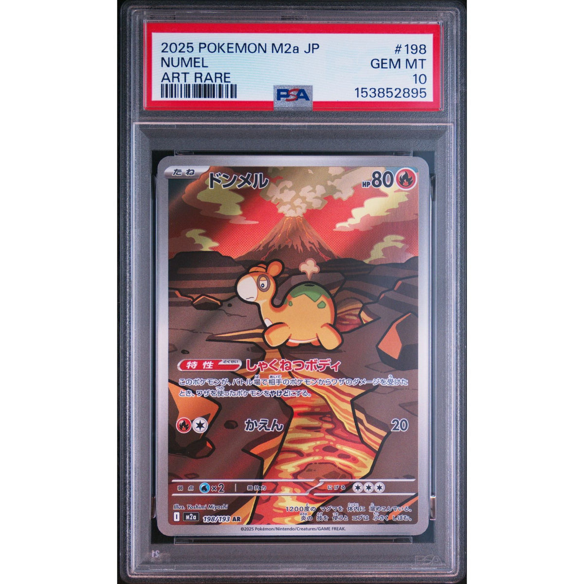 Pokémon TCG: Numel #198 PSA 10-153852895