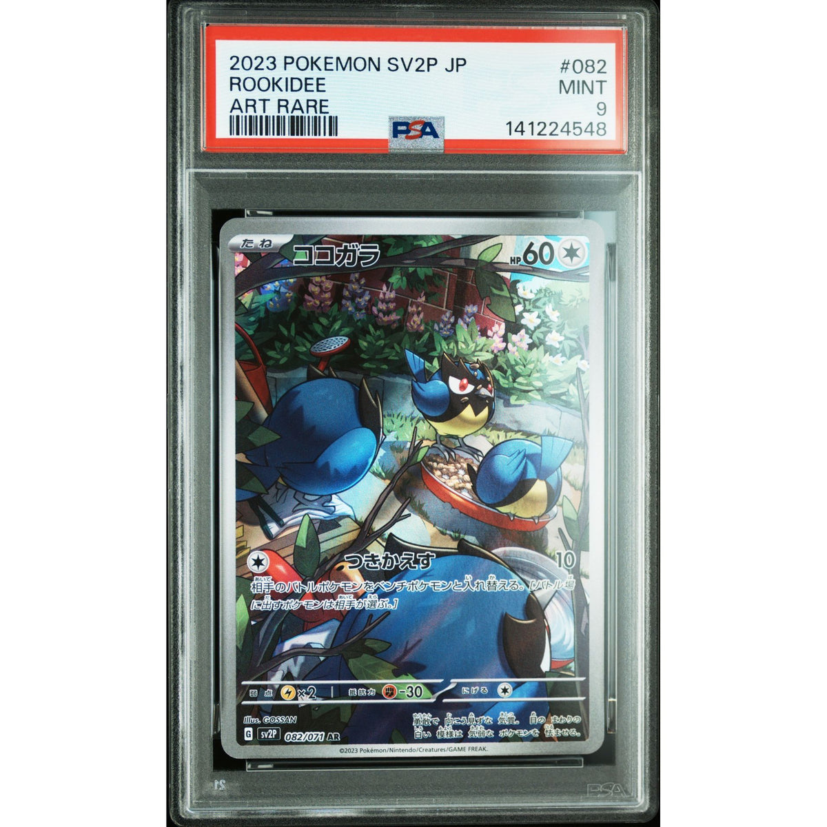 Pokémon TCG: Rookidee #082 PSA 9-141224548
