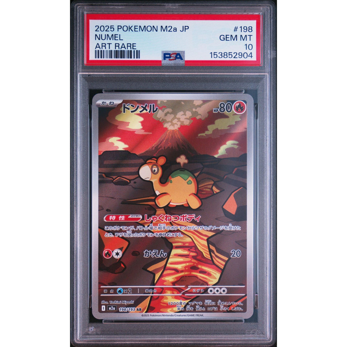 Pokémon TCG: Numel #198 PSA 10-153852904