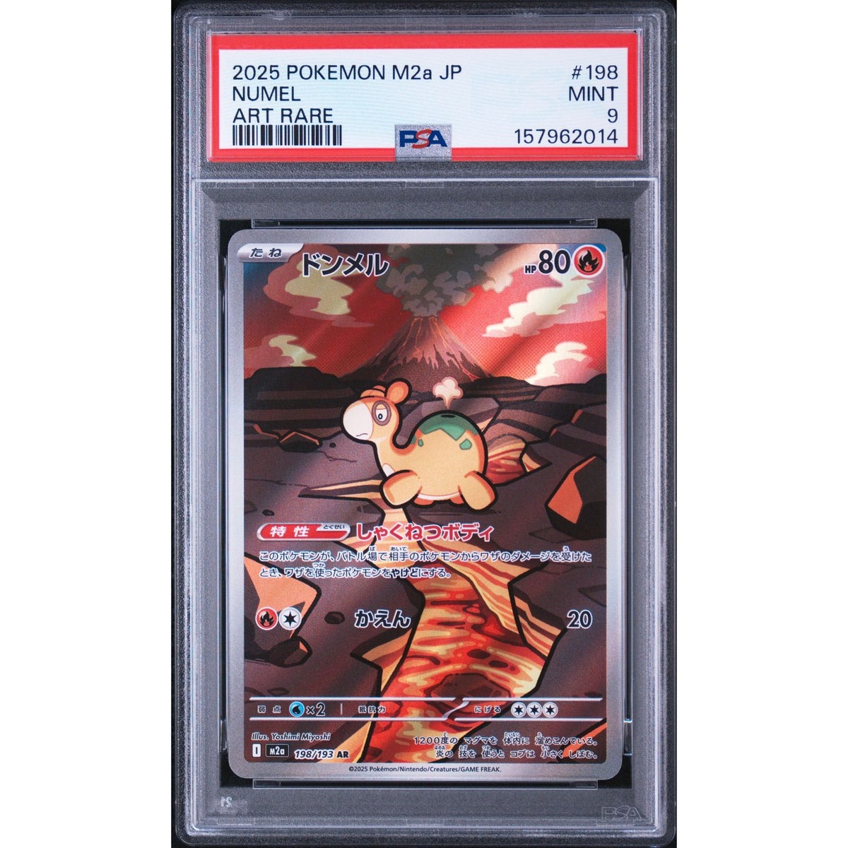 Pokémon TCG: Numel #198 PSA 9-157962014