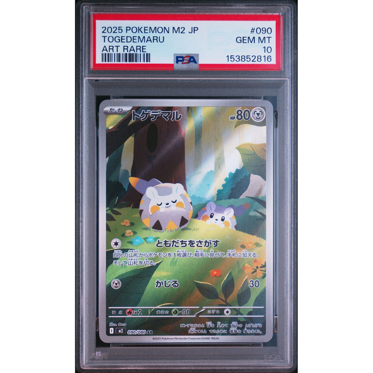 Pokémon TCG: Togedemaru #090 PSA 10-153852816