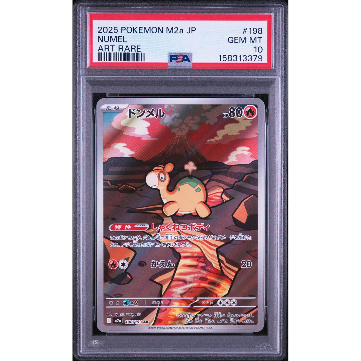 Pokémon TCG: Numel #198 PSA 10-158313379