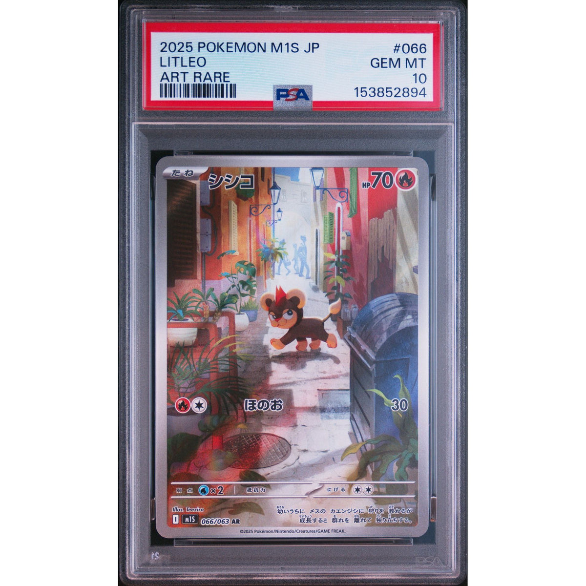 Pokémon TCG: Litleo #066 PSA 10-153852894