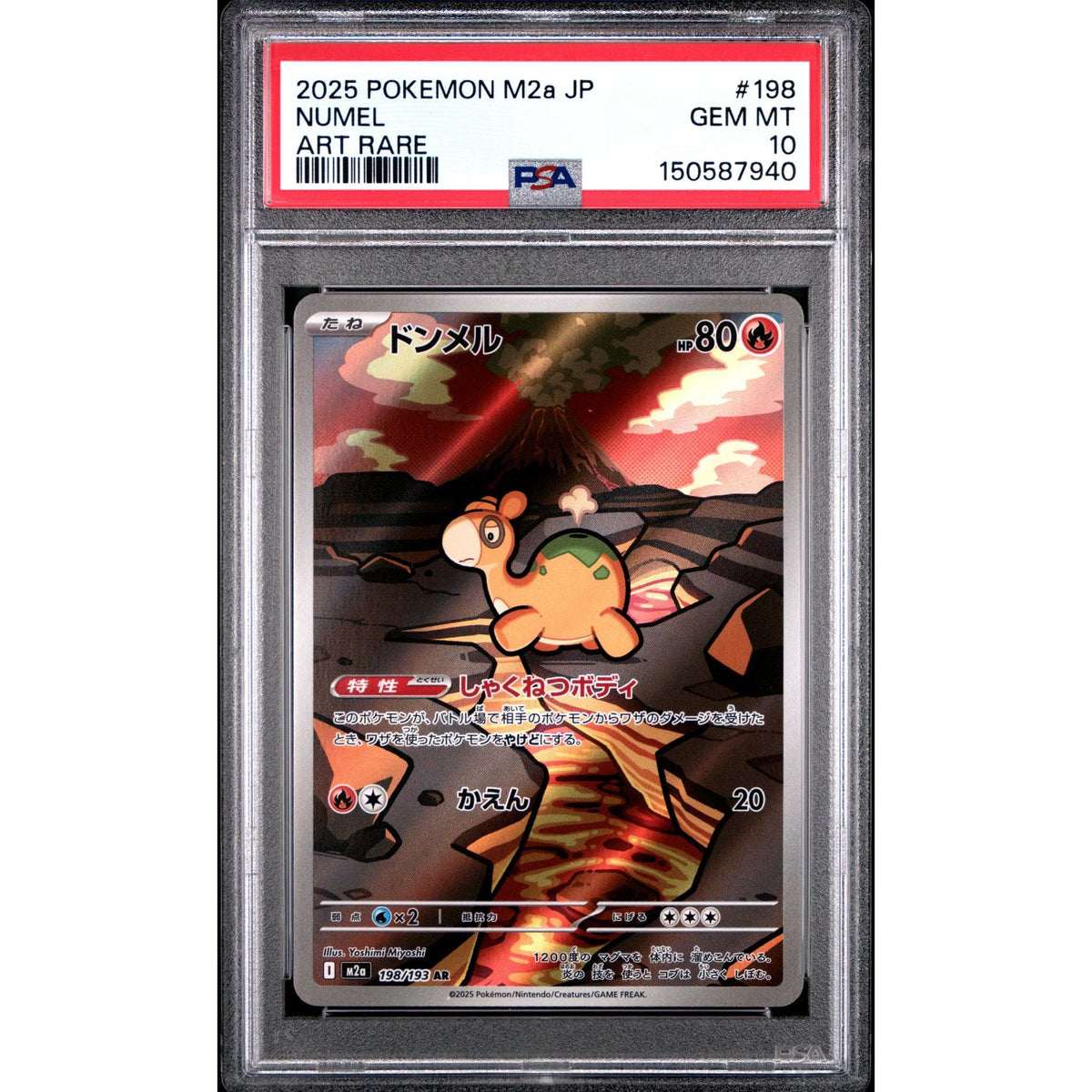Pokémon TCG: Numel #198 PSA 10-150587940
