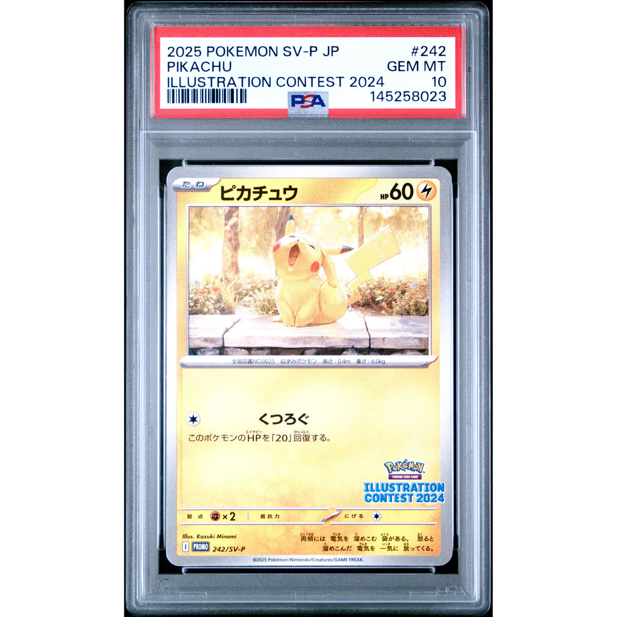Pokémon TCG: Pikachu #242 PSA 10-145258023