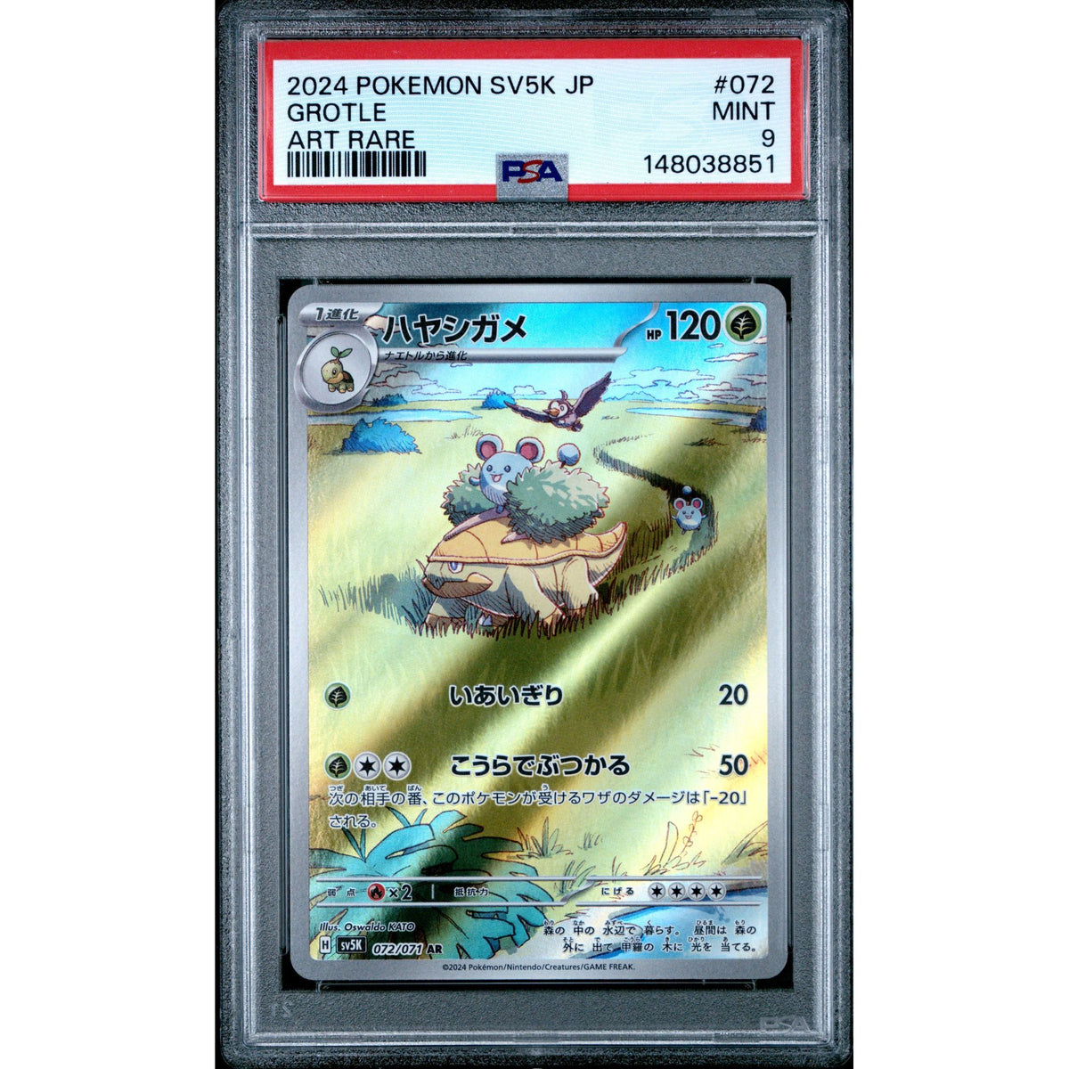 Pokémon TCG: Grotle #072 PSA 9-148038851