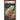 Pokémon TCG: Yamper #086 PSA 10-147041040