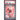 Pokémon TCG: Fezandipiti Ex #288 PSA 9-167685414